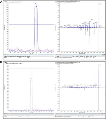 Unearthed opium: development of a UHPLC-MS/MS method for the determination of Papaver somniferum alkaloids in Daunian vessels